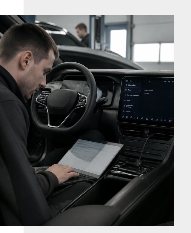 Русификация автомобилей BYD под ключ для всех моделей в Рассказове